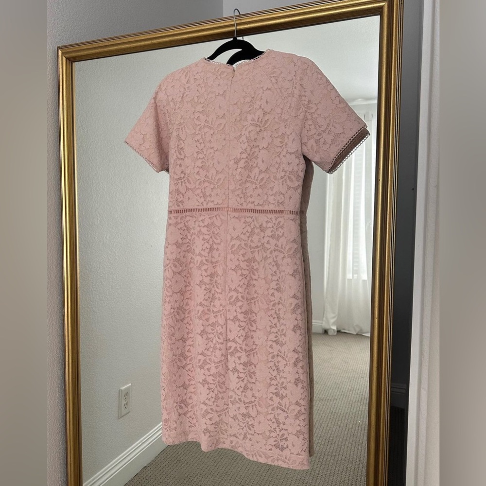 Rachel Parcell dress